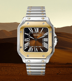 Seiko Mod Santos Twotone Brown - Watches By Cody