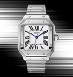Seiko Mod Santos White - Watches By Cody
